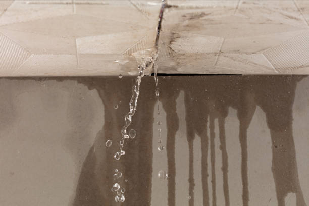 Professional Water Damage Restoration technician working in Thaxton, MS